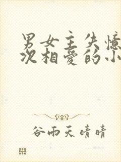 男女主失忆后再次相爱的小说