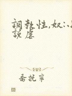 调教性,奴:小说虐