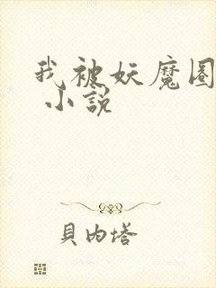 我被妖魔圈养了 小说