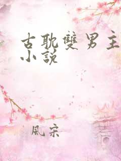 古耽双男主生子小说