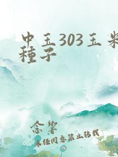 中玉303玉米种子