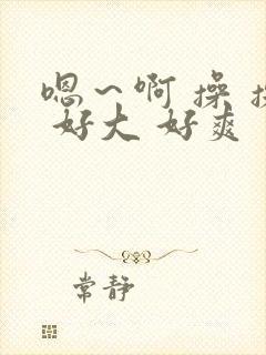 嗯～啊 操 操 好大 好爽 艹 老公 操我