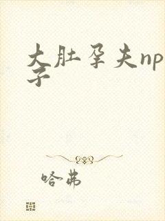 大肚孕夫np生子