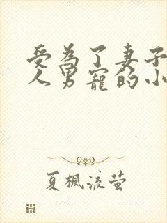 受为了妻子当别人男宠的小说