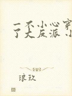 一不小心穿越成了大反派 小说