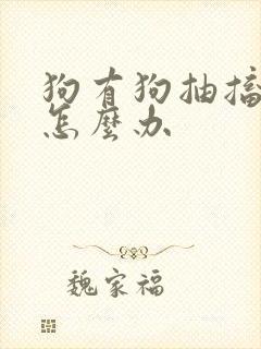 狗有狗抽搐病该怎么办