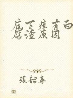 底下痒有白色豆腐渣原因