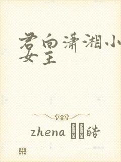 君向潇湘小说双女主