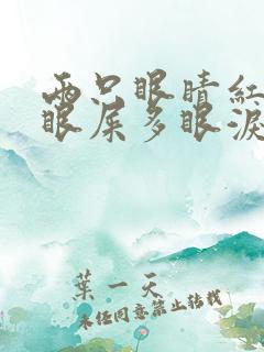 两只眼睛红血丝眼屎多眼泪