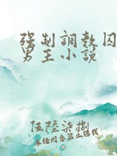 强制调教囚禁双男主小说