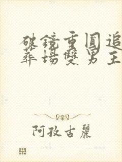 破镜重圆追夫火葬场双男主