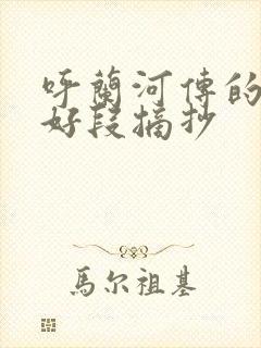 呼兰河传的好句好段摘抄