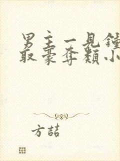 男主一见钟情强取豪夺类小说