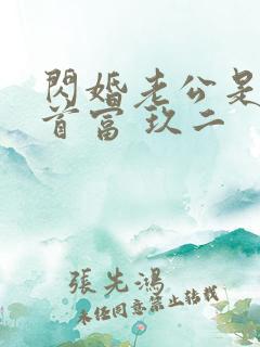 闪婚老公是千亿首富 玖二