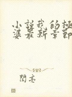 小说我的极品老婆最新章节