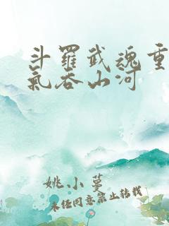 斗罗武魂重瞳,气吞山河