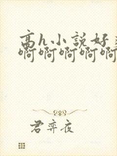 高h小说好爽啊啊啊啊啊啊