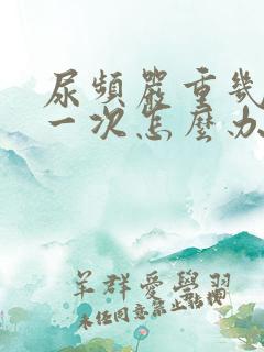 尿频严重几分钟一次怎么办