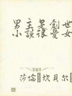 男主是创世神的小说很爱女主