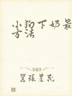 小狗下奶最快的方法