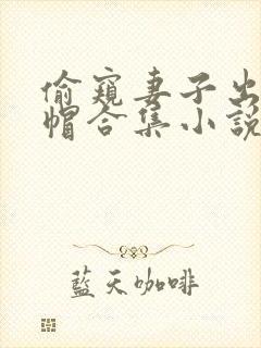 偷窥妻子出轨绿帽合集小说