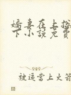 娇妻在上总裁在下小说免费阅读