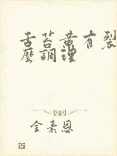 舌苔黄有裂纹怎么调理