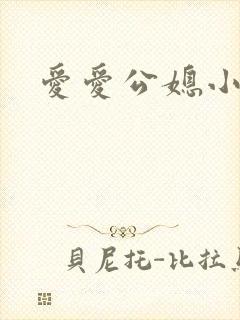 爱爱公媳小说