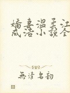 娇妻温柔江水蓝成浩小说全文