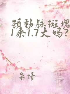 颈动脉斑块4.1乘1.7大吗?