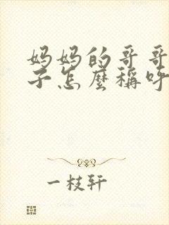 妈妈的哥哥的儿子怎么称呼