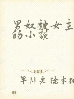 男奴被女主玩弄的小说
