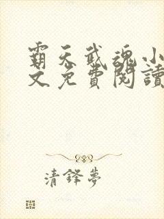 霸天武魂小说全文免费阅读