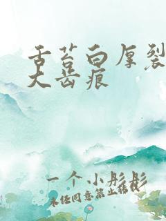 舌苔白厚裂纹肥大齿痕