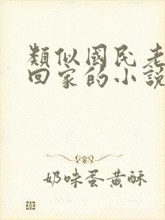 类似国民老公带回家的小说