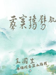 子宫后壁肌层回声不均匀