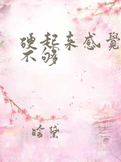 硬起来感觉硬度不够