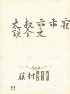 大叔乖乖宠我小说全文