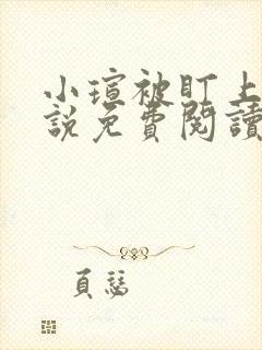 小瑄被盯上的小说免费阅读