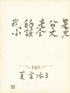 我的老公是冥王小说全文免费阅读