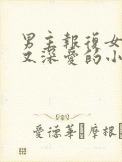 男主报复女主却又深爱的小说