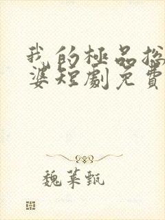 我的极品总裁老婆短剧免费全集免费播放