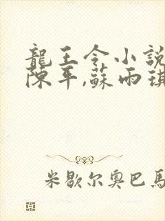 龙王令小说免费陈平,苏雨琪