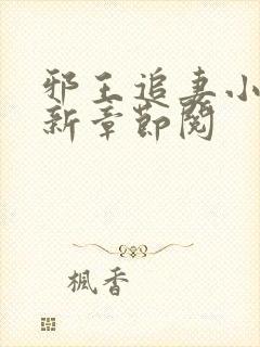 邪王追妻小说最新章节阅