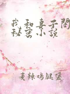我和妻子闺蜜的秘密小说