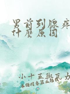 男前列腺疼痛是什么原因