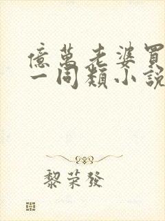 亿万老婆买一送一同类小说