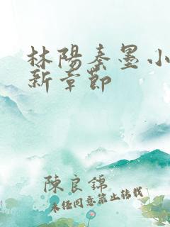 林阳秦墨小说最新章节