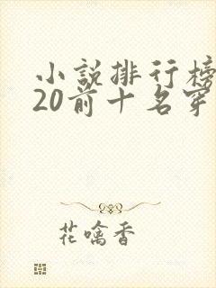 小说排行榜2020前十名穿越