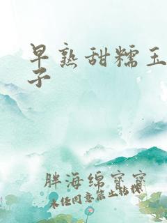 早熟甜糯玉米种子